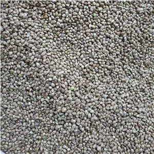 شاهدانه 500 گرم
