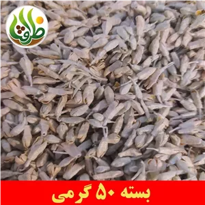 شکوفه سنجد ( گل سنجد ) اعلا ظرافت 50 گرمی