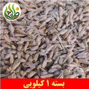 شکوفه سنجد ( گل سنجد ) اعلا ظرافت 1 کیلویی