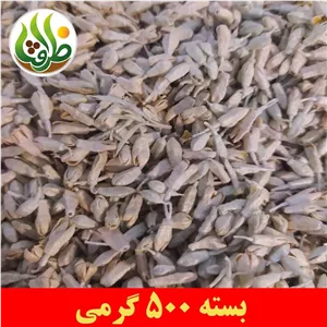 شکوفه سنجد ( گل سنجد ) اعلا ظرافت 500 گرمی