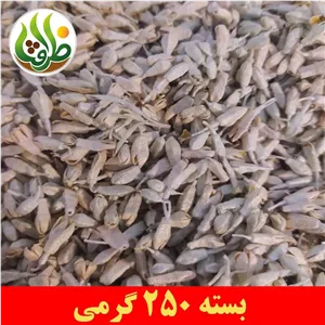 شکوفه سنجد ( گل سنجد ) اعلا ظرافت 250 گرمی