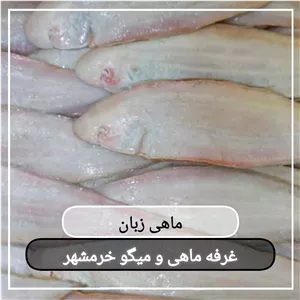 ماهی زبان سایز متوسط (پک یک کیلویی)بسیار لذیذ مناسب برای سرخ کردن