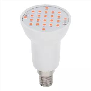 لامپ هالوژن پرنور رهنما،3 وات، پایه E14