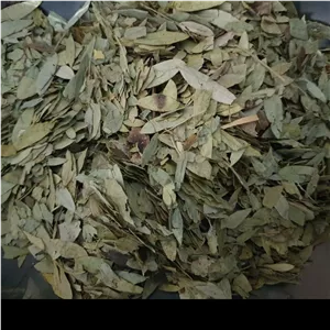 برگ سنا 250 گرم