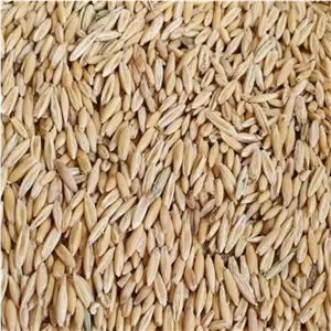 جو دوسر 1 کیلو