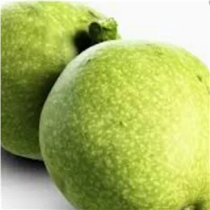 گردو تازه با پوست سبز دستچین  (از10 شهریور تا پایان مهر -تولید کننده ایم)