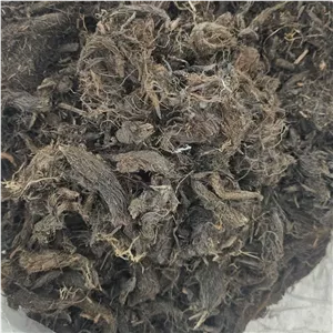 سنبل الطیب 500 گرم