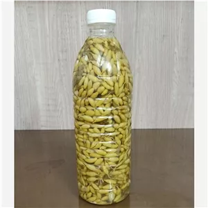 غوره شور (غوره ترش) کاشمر پیکامی، 1.5 لیتری، ملین و هضمکننده