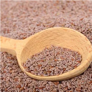 تخم اسفرزه اعلا (80 گرمی) 