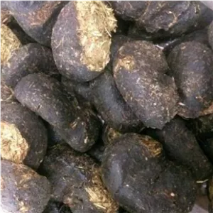 عنبر نسارا