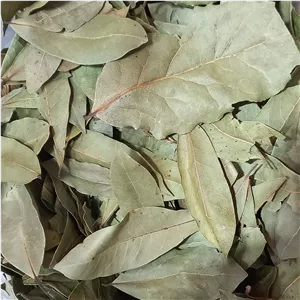 برگ بو (برگ بو سورت شده و تمیز) 