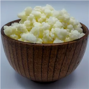 قارچ کفیر قفقازی فعال 30 گرمی به همراه یک بطری 300سی سی دوغ کفیر