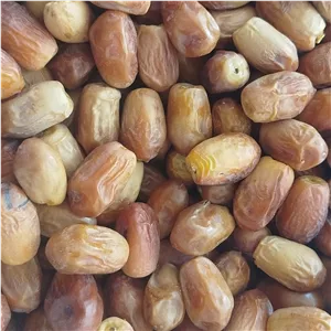 خرمای زاهدی سوپر لوکس ویژه 1کیلویی برداشت مهرماه امسال(قصب)درجه یک بهبهان