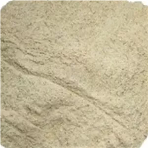 پودر کتیرا 500 گرم ( غوره کتیرا)