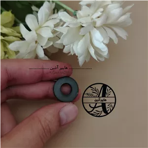 مگنت آهن ربای رینگی واشری سایز کوچک ( بسته 100 عددی) هایپرآذین 