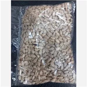 مغز تخمه یک کیلو گرم خام