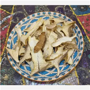 قارچ شاه صدف خشک شده وزن 100 گرم