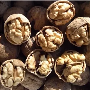 گردو با پوست تویسرکان (1 کیلوگرم)