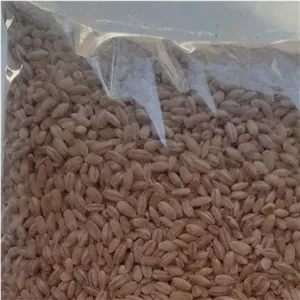 گندم پوست کنده 3 کیلویی