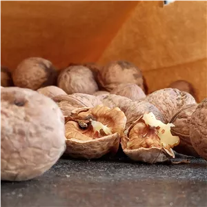 گردو روغنی الموت (1 کیلویی)