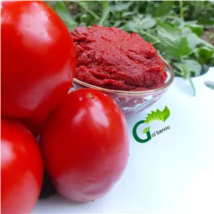 رب گوجه خانگی گل بانو 