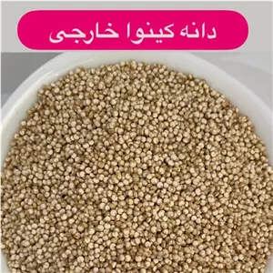 دانه کینوا خارجی در بسته بندی کاملا بهداشتی