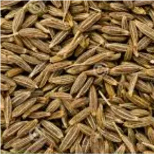 زیره سبز 50 گرمی سورت شده صادراتی