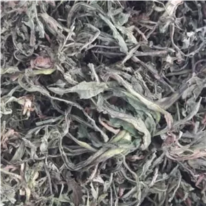 برگ کاسنی اعلا درجه یک 75 گرم