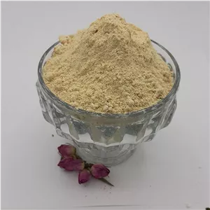 پودر سیر ایرانی ممتاز 500 گرمی
