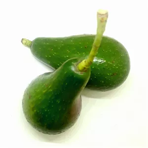 آووکادو ارگانیک تازه چین 5 عددی بدون کود و سم ارسال تازه چین از باغ 550 گرم