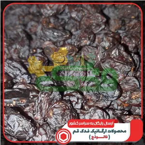 مویز شیرازی تپلی ممتاز فدک (800گرم)