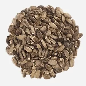 تخم خار مریم اعلا (80 گرمی) 