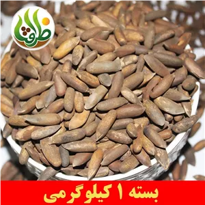 چلغوز اعلا ظرافت 1 کیلوگرمی