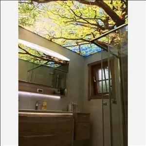 آسمان مجازی طرح آسمان جنگل (باریسول فرانسه)