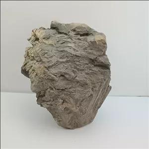 تریس فسیل صد در صد طبیعی کد عسل143 نمونه آموزشی و دکوری