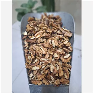 مغز گردو شکسته درشت پر چرب تویسرکان برداشت عمده کارتن 5 کیلوگرم