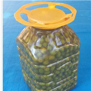 زیتون سبز شکسته 