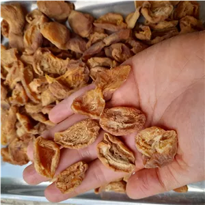 برگه زردآلو آفتابی ملس و مخلوط سایز متوسط 