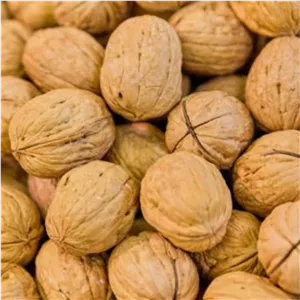 گردو درجه یک 