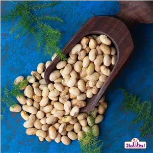 سویا آجیلی 250 گرمی سویا ترش تازه و خوش طعم