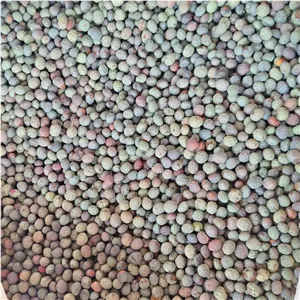 بنه ، پسته کوهی بسته 500 گرمی 