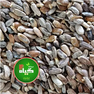 تخم گل خار مریم کمک به رفع کبد چرب( 100گرمی) عطاری چهل گیاه 