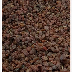 کشمش آبگیری درجه یک