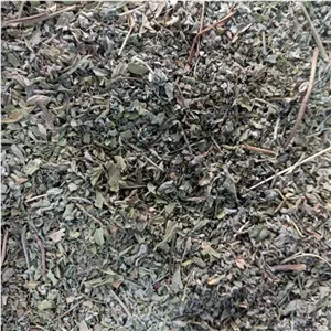 دمنوش پونه کوهی با خواص شگفت انگیز 350 گرم 