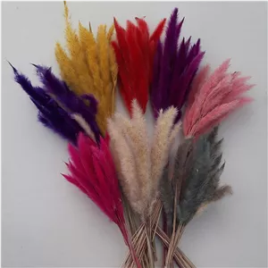 گل خشک دم روباهی (17 شاخه)