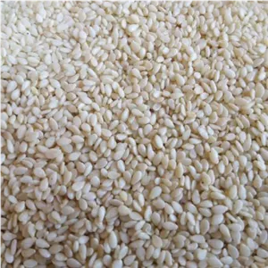 کنجد سفید پاکستانی پوست کنده پاک شده اعلا (250گرم)