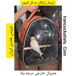 کوله حمل پرنده.کوله عروس هلندی ..ارسال رایگان...