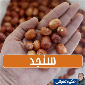 سنجد امسالی ارگانیک تمیز شده سایز متوسط - 500 گرمی