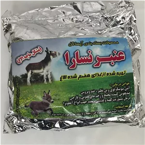 عنبرنسارا (عطارباشی بیرجند)