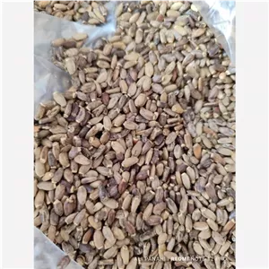 دانه خار مریم . بسته 150گرمی